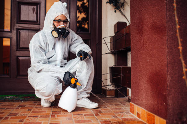 Reliable Cockroach Control contractor in Parole, MD by Nex Pest Control
