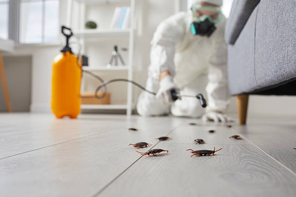 Trusted Bed Bug Control service in Parole, MD - Nex Pest Control