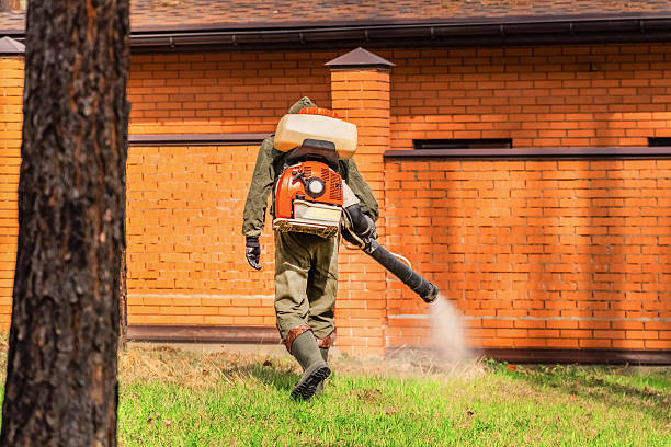Trusted Ant Control service in Parole, MD - Nex Pest Control